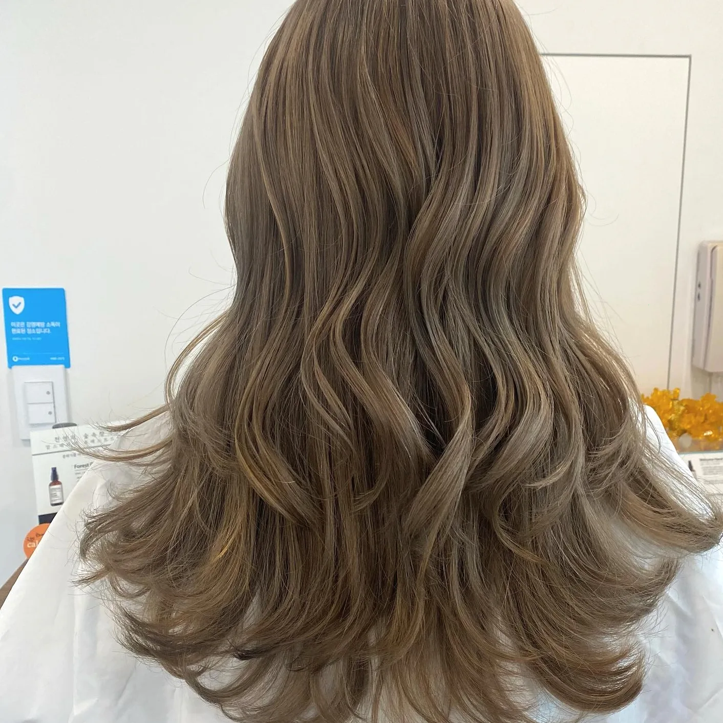 chic face-framing highlights 2026 - Style 3 at Korea Hair Salon Seoul